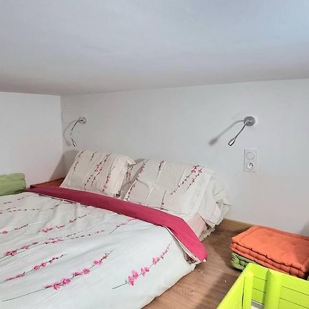T2 Louise - Jardin Des Plantes - Metro - Tramway Apartment ตูลูส ภายนอก รูปภาพ